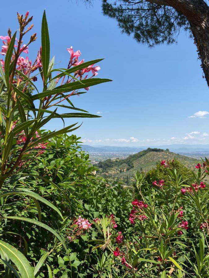 Bed & Breakfast La Rocca *