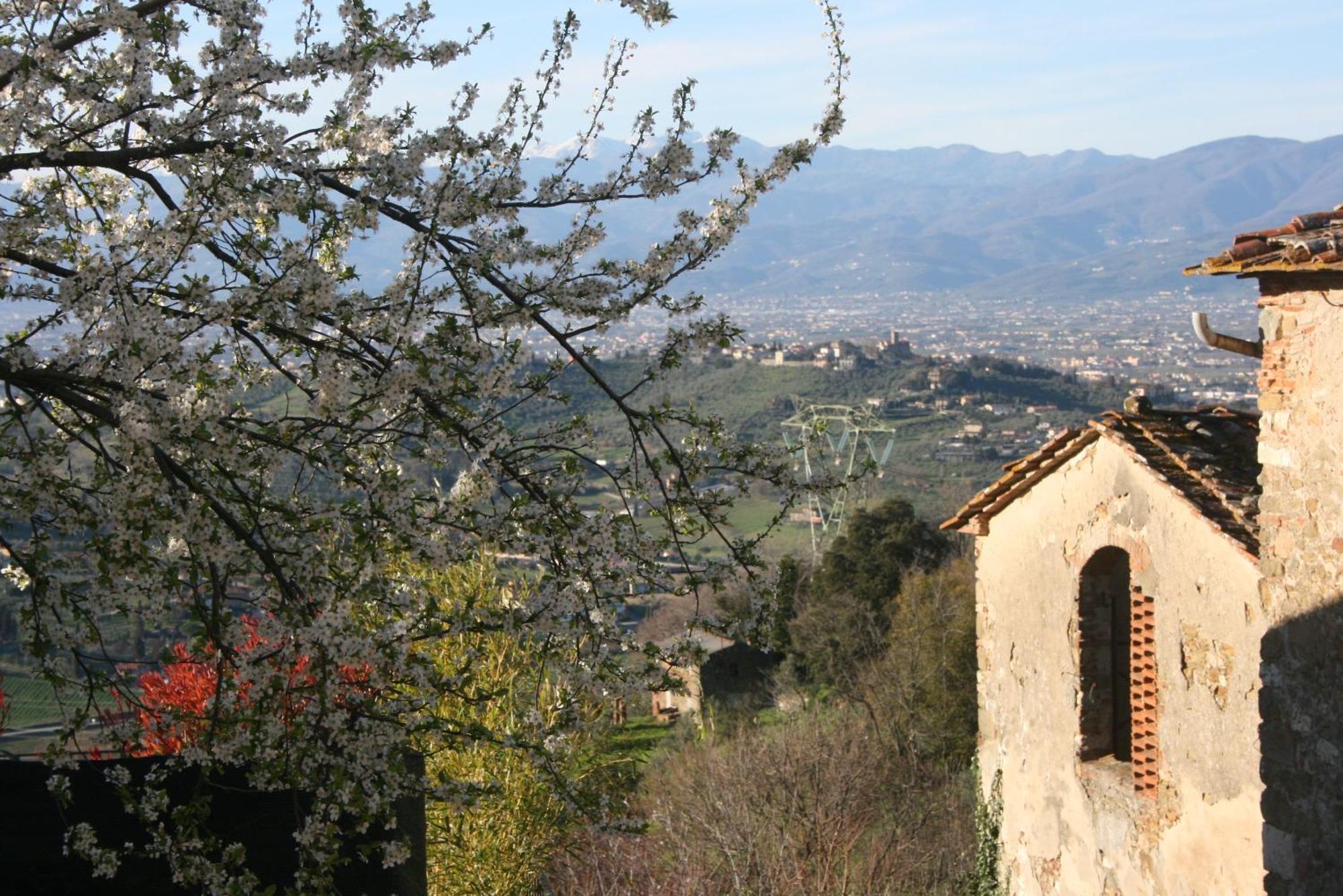 La Rocca * Carmignano